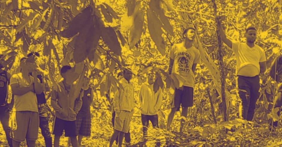 Robinson Polanco Alvarado