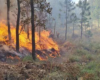 Incendio forestal consume 345 hectáreas en una zona andina en el sur de Ecuador