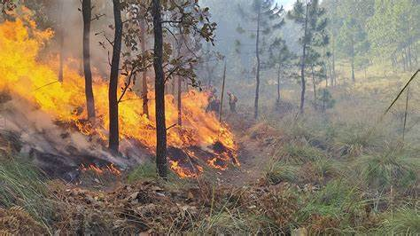 Incendio forestal consume 345 hectáreas en una zona andina en el sur de Ecuador