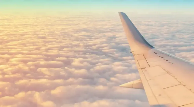 Vuelo de Santo Domingo a Nueva York