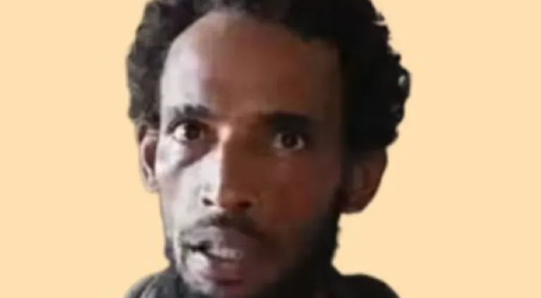 Oreja